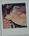 xtina Altpins Profile Picture