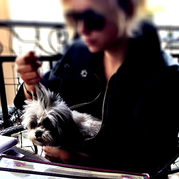 ashleybenson instagram image archive image