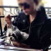 ashleybenson Altpins Profile Picture