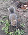 auddk_77 Altpins Profile Picture