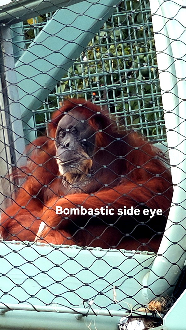melodyoz instagram image archive image