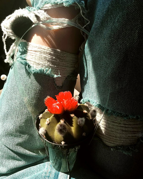 hallucineon instagram image archive image