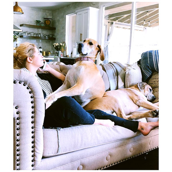 sashapieterse instagram image archive image