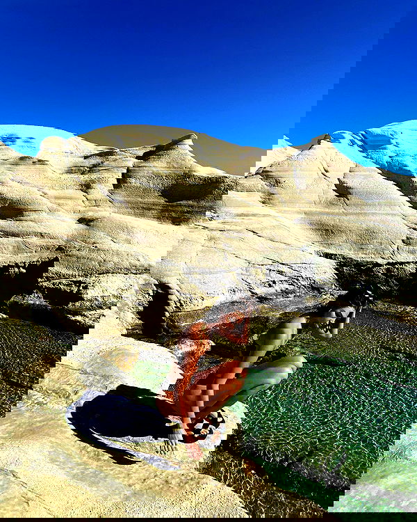 taylor.creeden taylor.creeden archive image