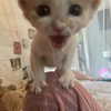 livia._.paige Altpins Profile Picture