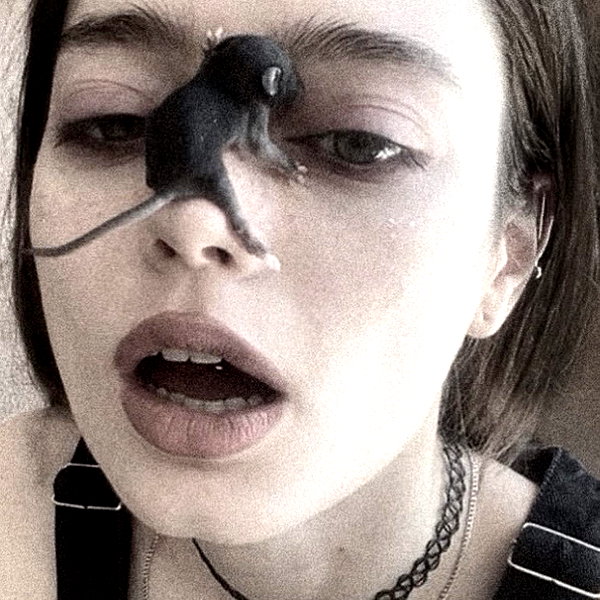 amanitalis instagram image archive image