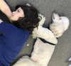 alexandradaddario Altpins Profile Picture