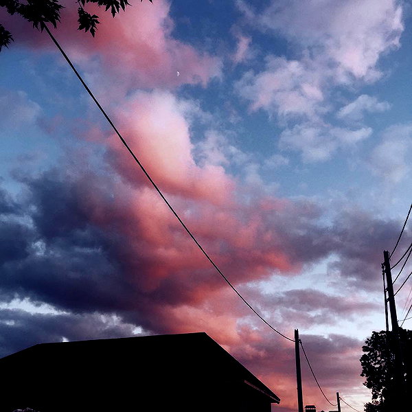 alishevs instagram image archive image
