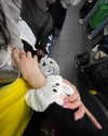dante_yangpa Altpins Profile Picture