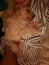 sophiecharlotth Altpins Profile Picture