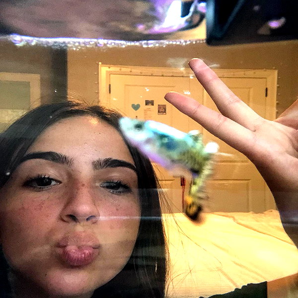 gabrielabee instagram image archive image