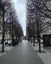 federica.piccinni Altpins Profile Picture