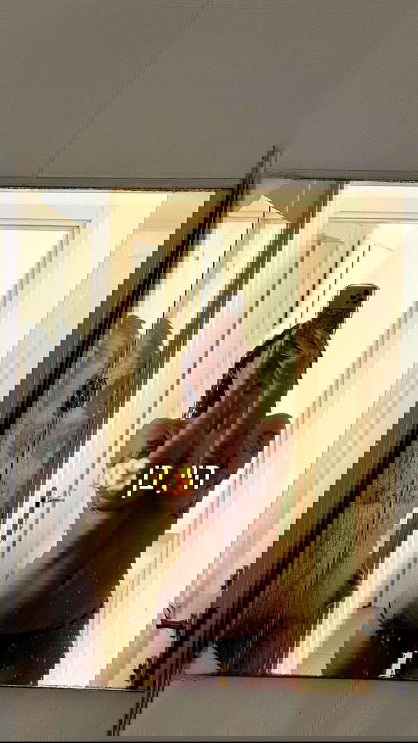 iambohema.v2 iambohema.v2 archive image