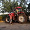 rikol_nohana Altpins Profile Picture