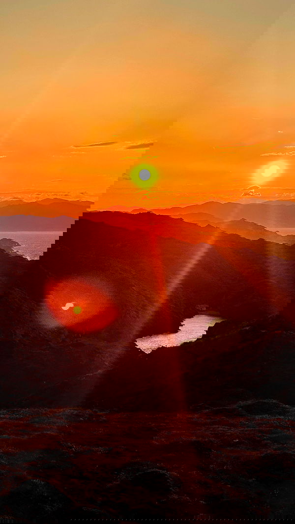 taylor.creeden taylor.creeden archive image