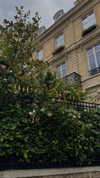 ayguldavlletova Altpins Profile Picture