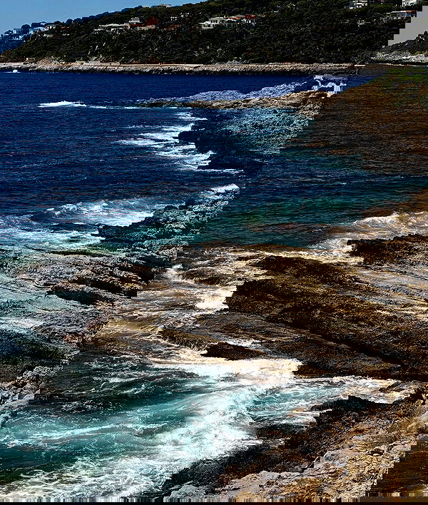 taylor.creeden taylor.creeden archive image