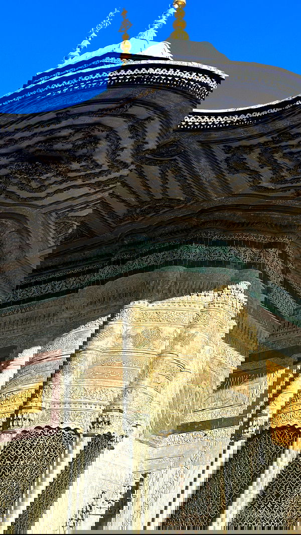 taylor.creeden taylor.creeden archive image