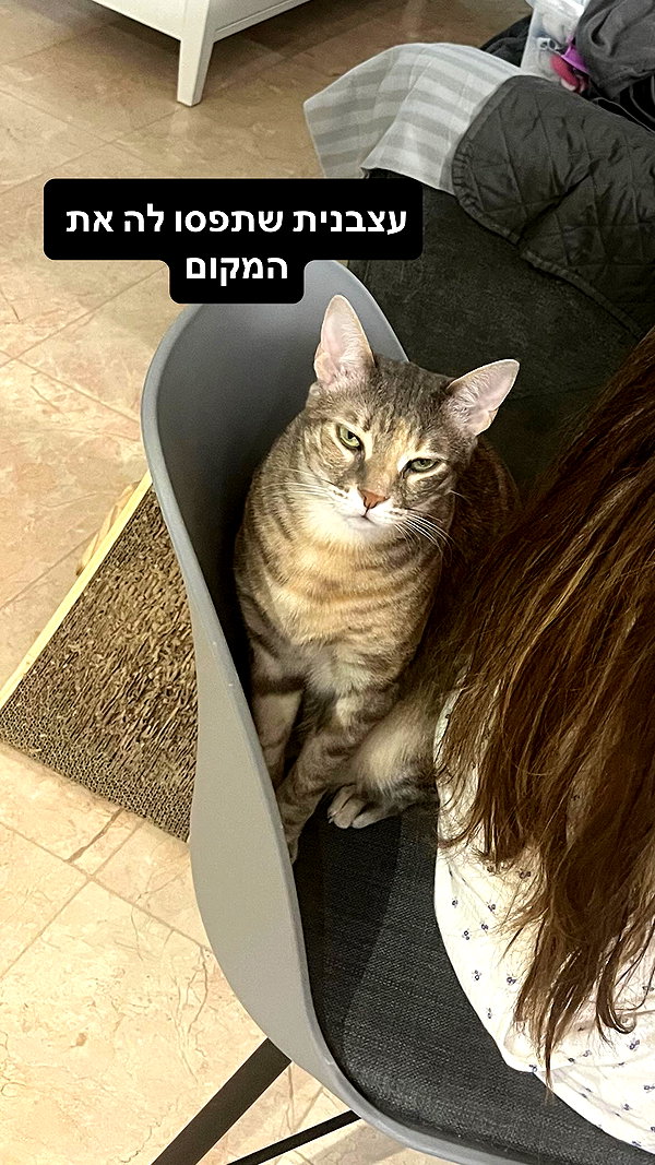 Archived image from @notchicore on Instagram
