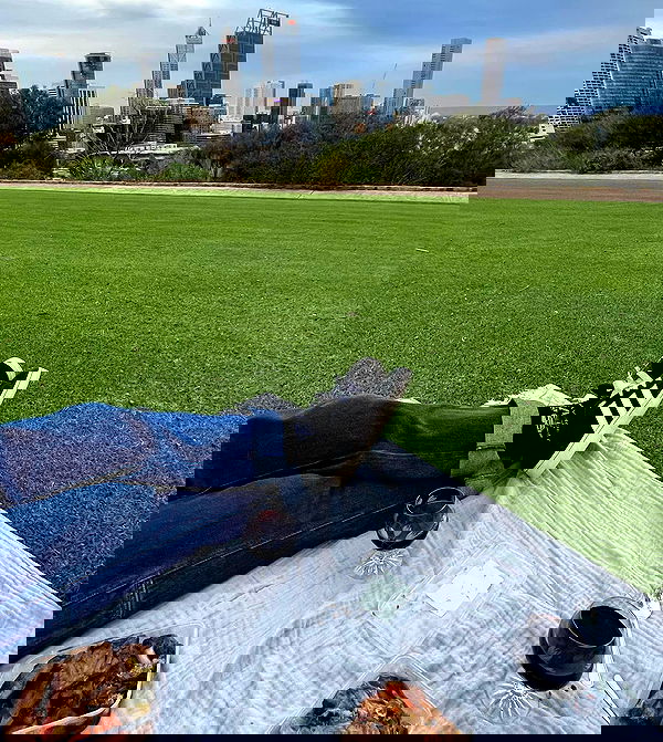 jtilb2 image ~ Altpins