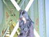 h1k21k0m0r1 Altpins Profile Picture