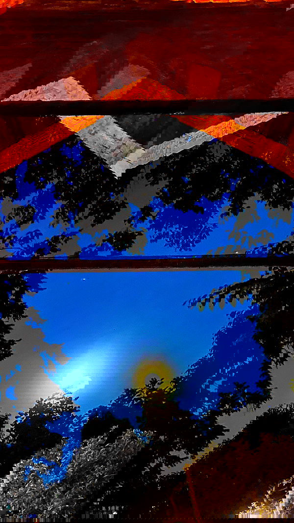 taylor.creeden taylor.creeden archive image