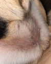 chris_fucking_wild Altpins Profile Picture
