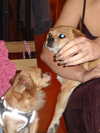 alma.almog Altpins Profile Picture