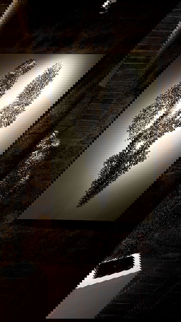 tamagotkri tamagotkri archive image