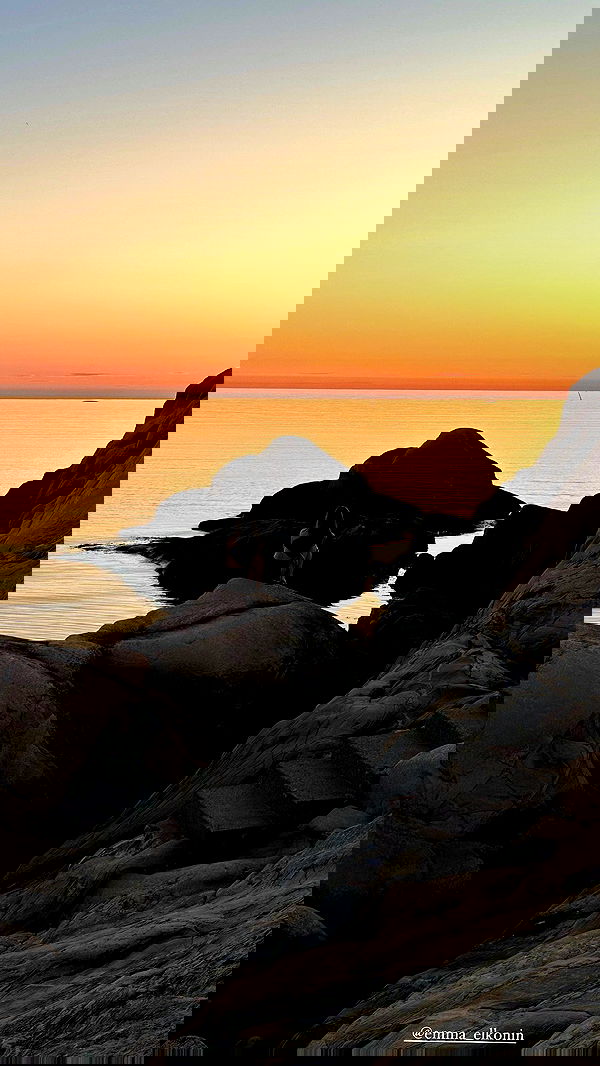 taylor.creeden taylor.creeden archive image