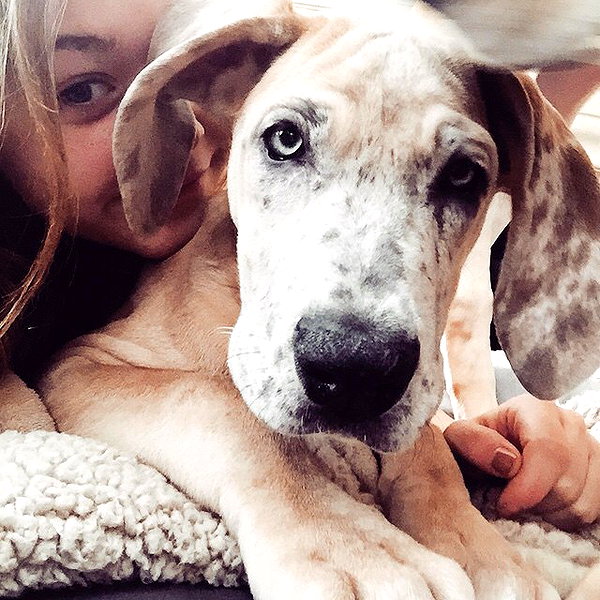 sashapieterse instagram image archive image