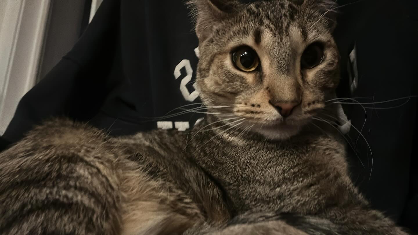 _animechika_ instagram image archive image