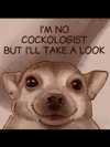 milkiwifey Altpins Profile Picture