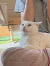 auddk_77 Altpins Profile Picture