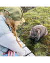 nicolekidman Altpins Profile Picture