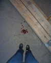 hellyeahma Altpins Profile Picture