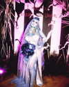 xtina Altpins Profile Picture
