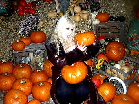 ormosheee ormosheee archive image