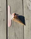 elizabethcampbelljones Altpins Profile Picture