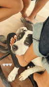 pia__kim Altpins Profile Picture