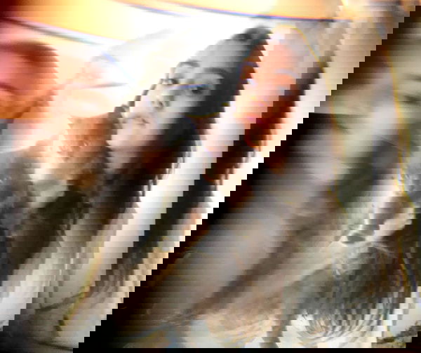 kkulakovaa image ~ Altpins