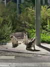 auddk_77 Altpins Profile Picture