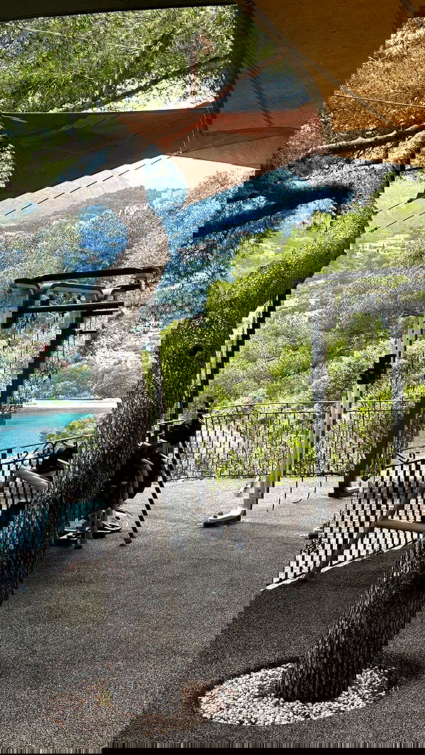 taylor.creeden taylor.creeden archive image