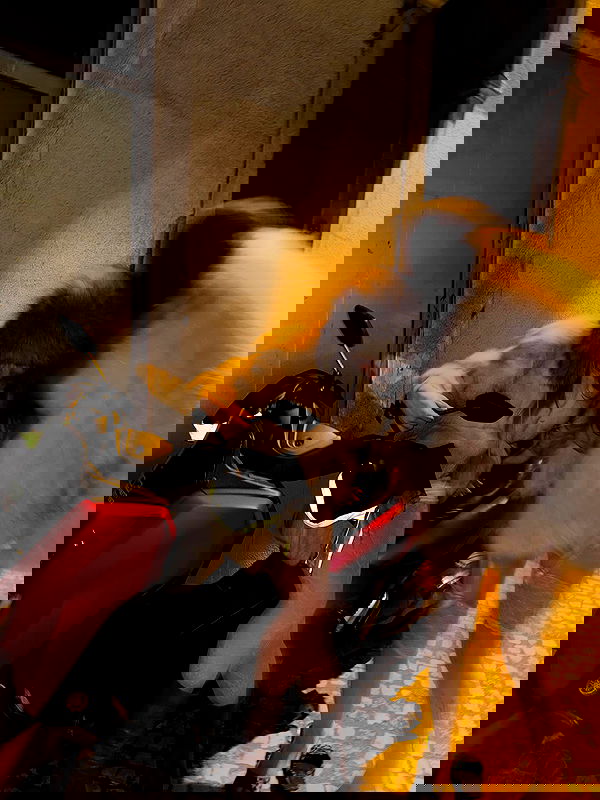 imalovesosa imalovesosa archive image