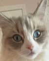 catl0verr69 Altpins Profile Picture