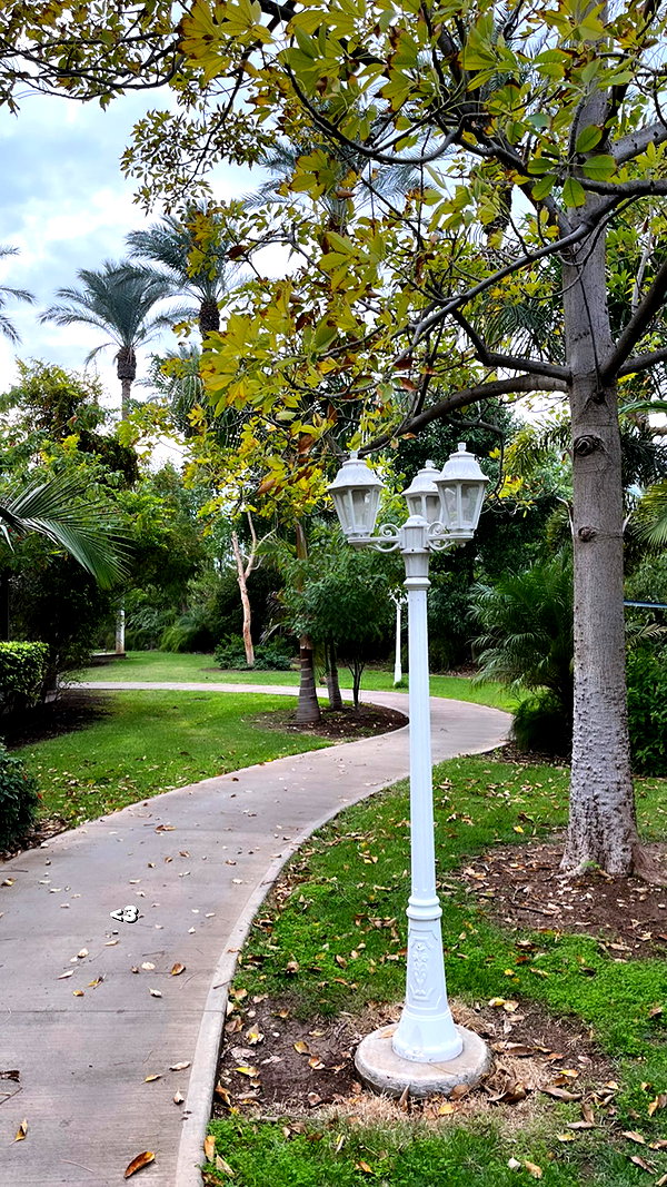 yaelxyazdi instagram image archive image