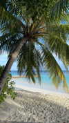 sonia_litvanchuk Altpins Profile Picture