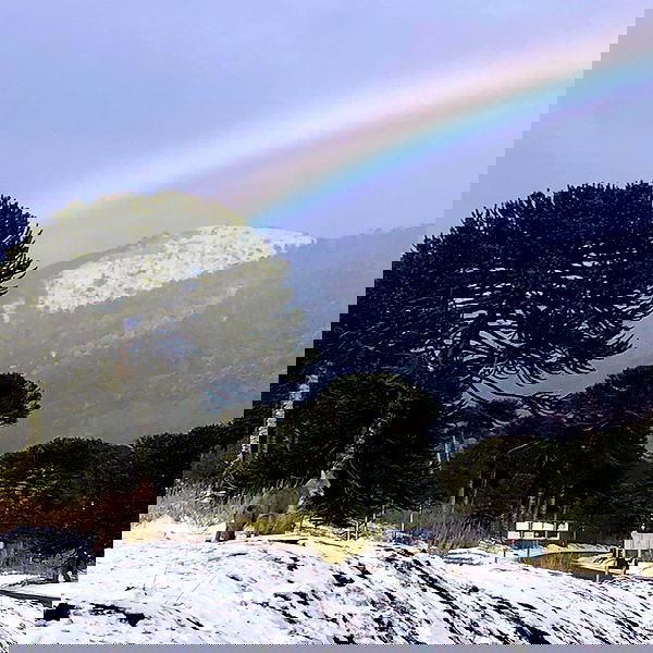 naia_gg naia_gg archive image