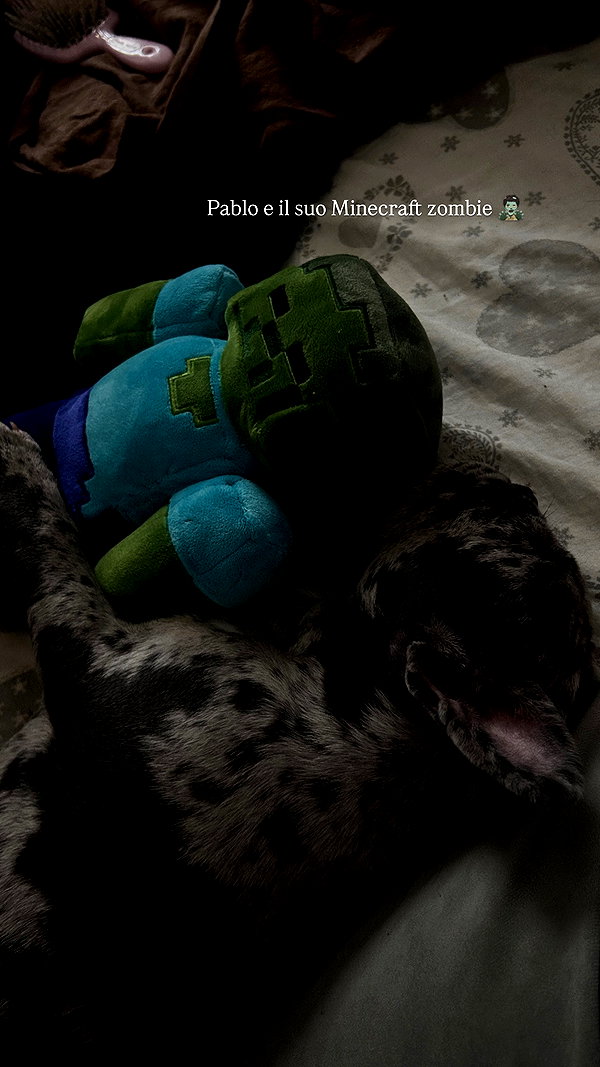 rott3nbambi instagram image archive image