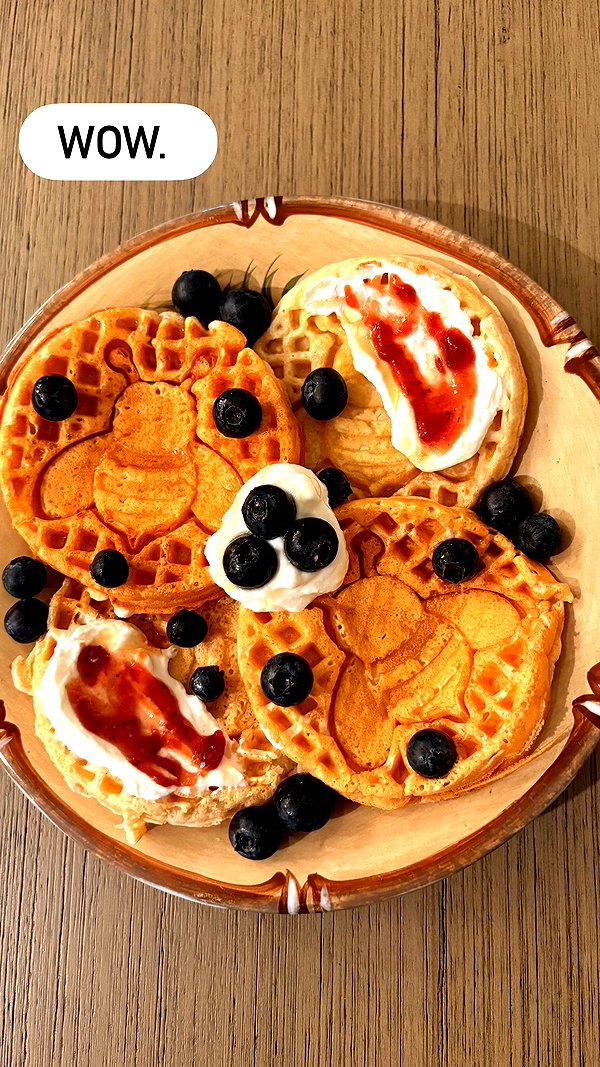 willitwafflemini willitwafflemini archive image